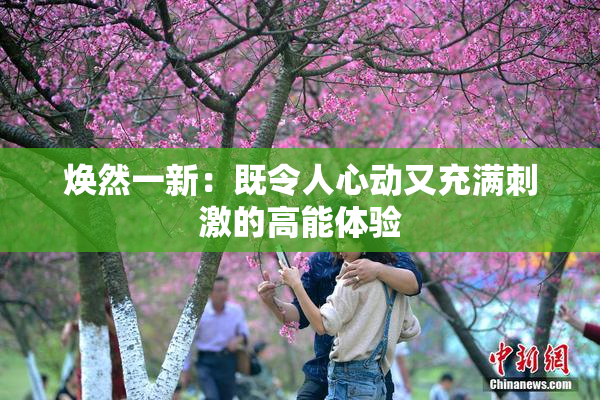 焕然一新：既令人心动又充满刺激的高能体验