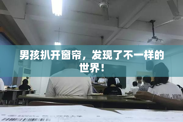 男孩扒开窗帘，发现了不一样的世界！