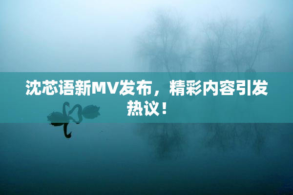 沈芯语新MV发布，精彩内容引发热议！