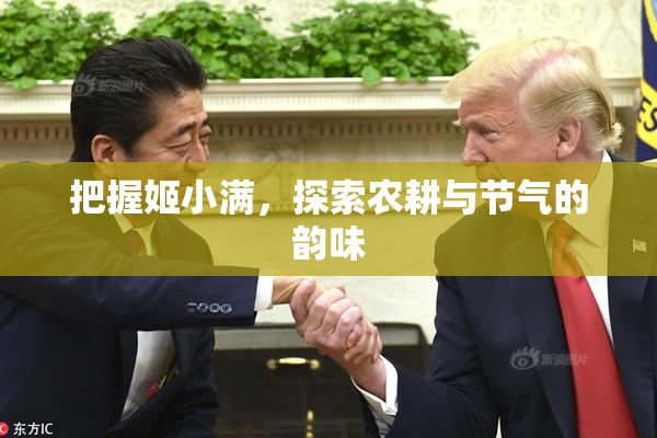 把握姬小满，探索农耕与节气的韵味