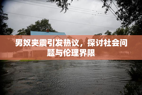 男奴夹震引发热议，探讨社会问题与伦理界限