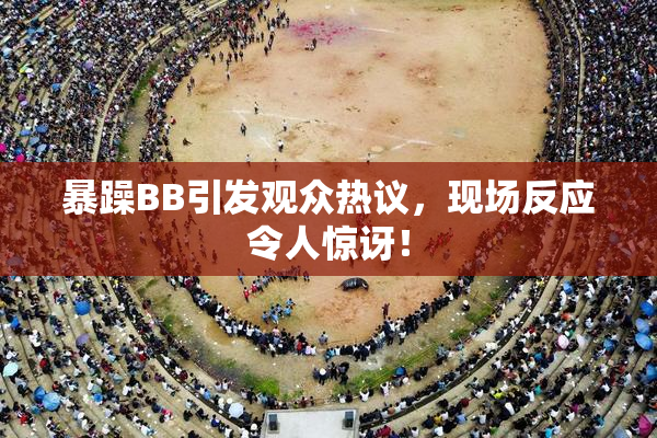 暴躁BB引发观众热议，现场反应令人惊讶！