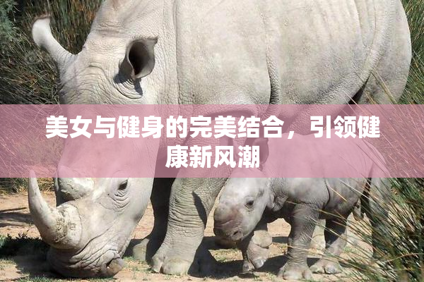 美女与健身的完美结合，引领健康新风潮