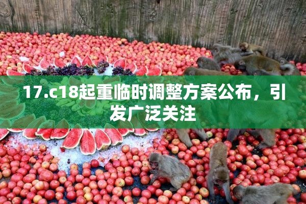 17.c18起重临时调整方案公布，引发广泛关注