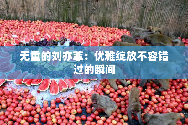 无重的刘亦菲：优雅绽放不容错过的瞬间