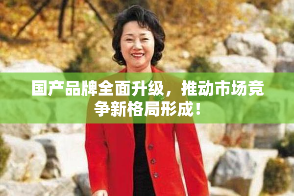 国产品牌全面升级，推动市场竞争新格局形成！