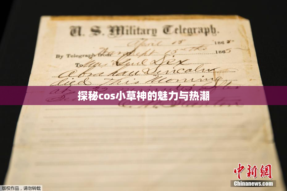 探秘cos小草神的魅力与热潮