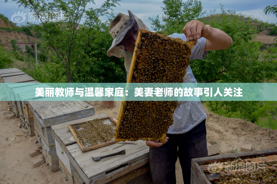 美丽教师与温馨家庭：美妻老师的故事引人关注