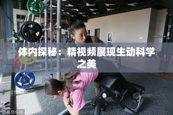 体内探秘：精视频展现生动科学之美