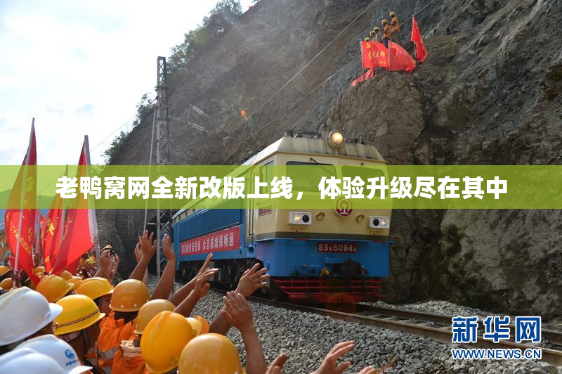 老鸭窝网全新改版上线，体验升级尽在其中