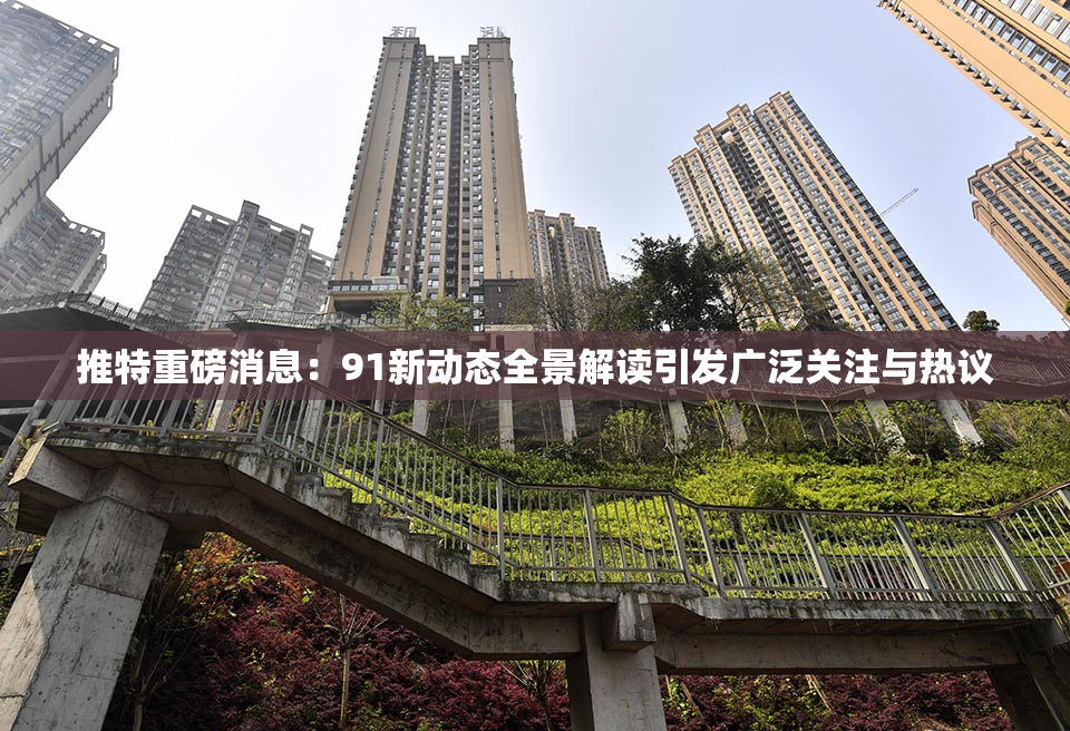 推特重磅消息：91新动态全景解读引发广泛关注与热议