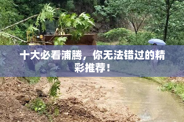 十大必看浦腾，你无法错过的精彩推荐！
