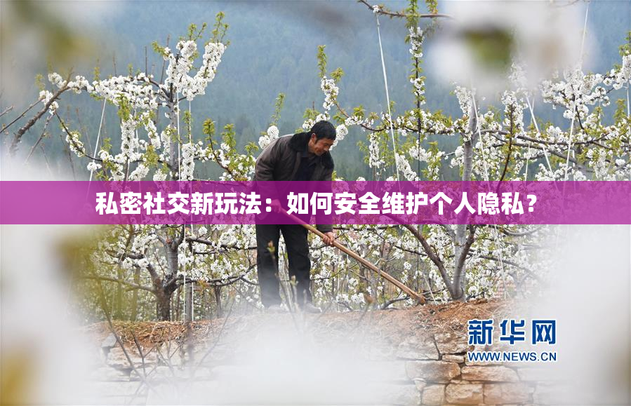 私密社交新玩法：如何安全维护个人隐私？