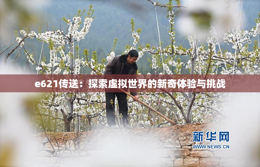 e621传送：探索虚拟世界的新奇体验与挑战