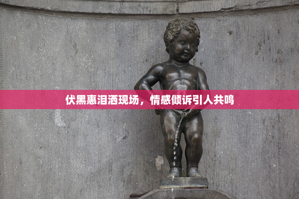 伏黑惠泪洒现场，情感倾诉引人共鸣