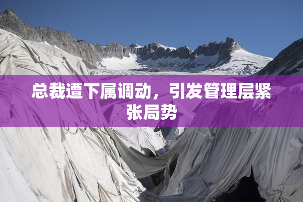 总裁遭下属调动，引发管理层紧张局势