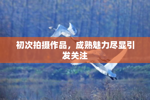 初次拍摄作品，成熟魅力尽显引发关注
