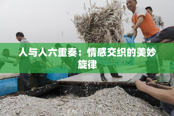 人与人六重奏：情感交织的美妙旋律