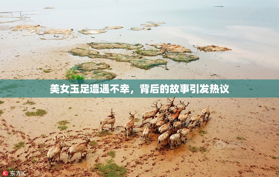 美女玉足遭遇不幸，背后的故事引发热议