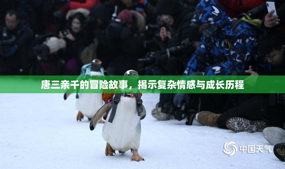 唐三亲千的冒险故事，揭示复杂情感与成长历程