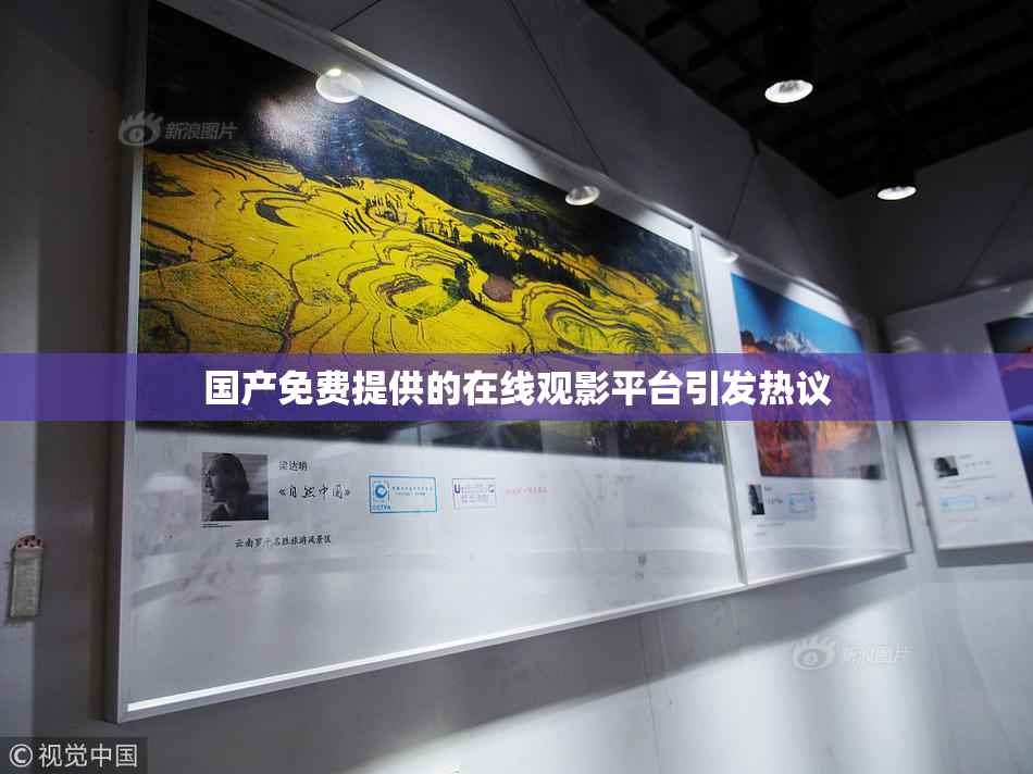 国产免费提供的在线观影平台引发热议