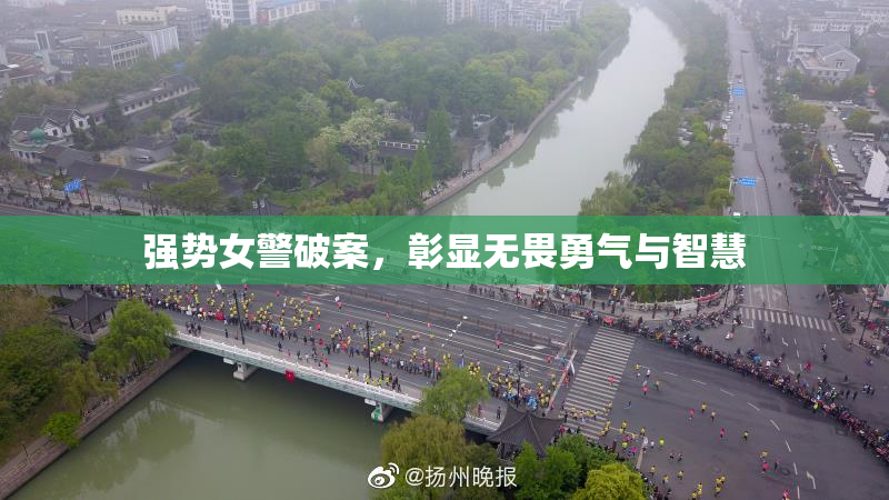 强势女警破案，彰显无畏勇气与智慧