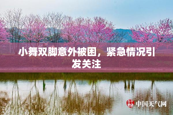 小舞双脚意外被困，紧急情况引发关注