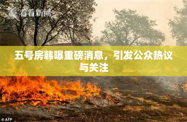 五号房韩曝重磅消息，引发公众热议与关注