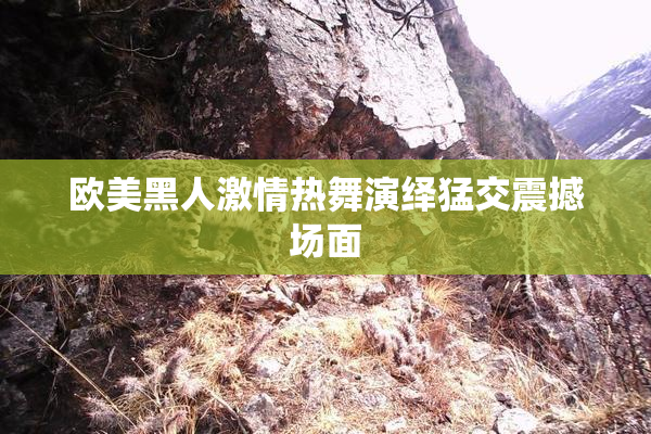 欧美黑人激情热舞演绎猛交震撼场面