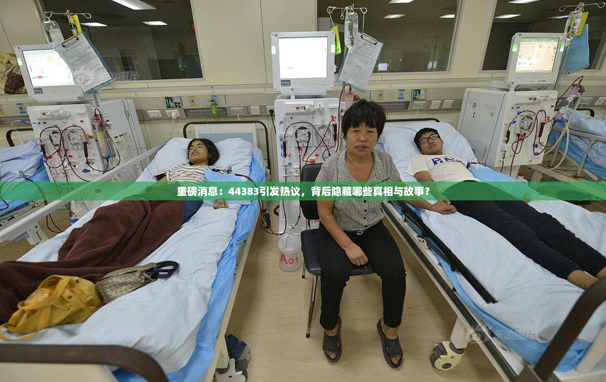 重磅消息：44383引发热议，背后隐藏哪些真相与故事？