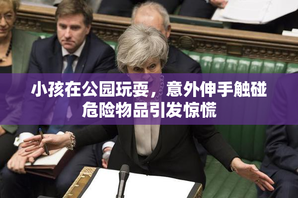 小孩在公园玩耍，意外伸手触碰危险物品引发惊慌