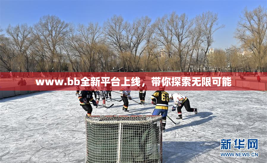 www.bb全新平台上线，带你探索无限可能