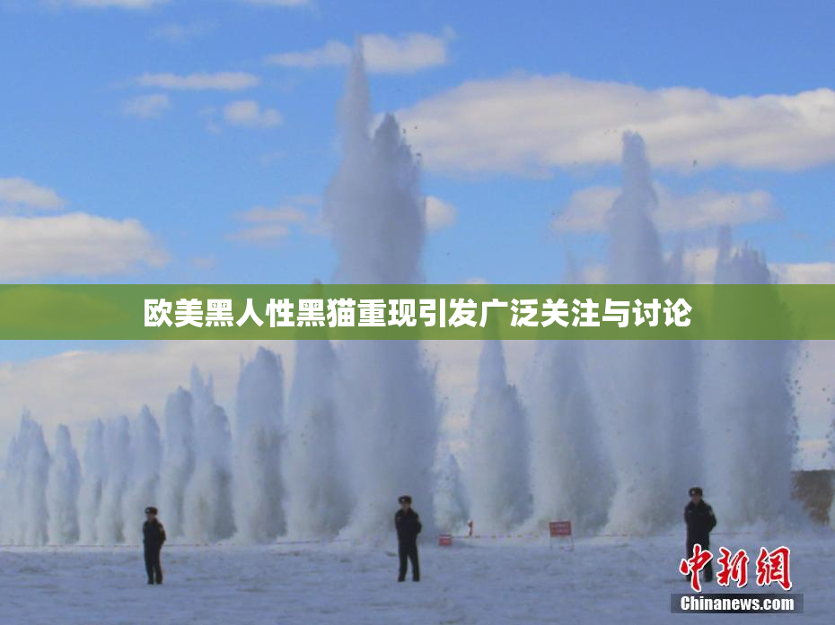 欧美黑人性黑猫重现引发广泛关注与讨论