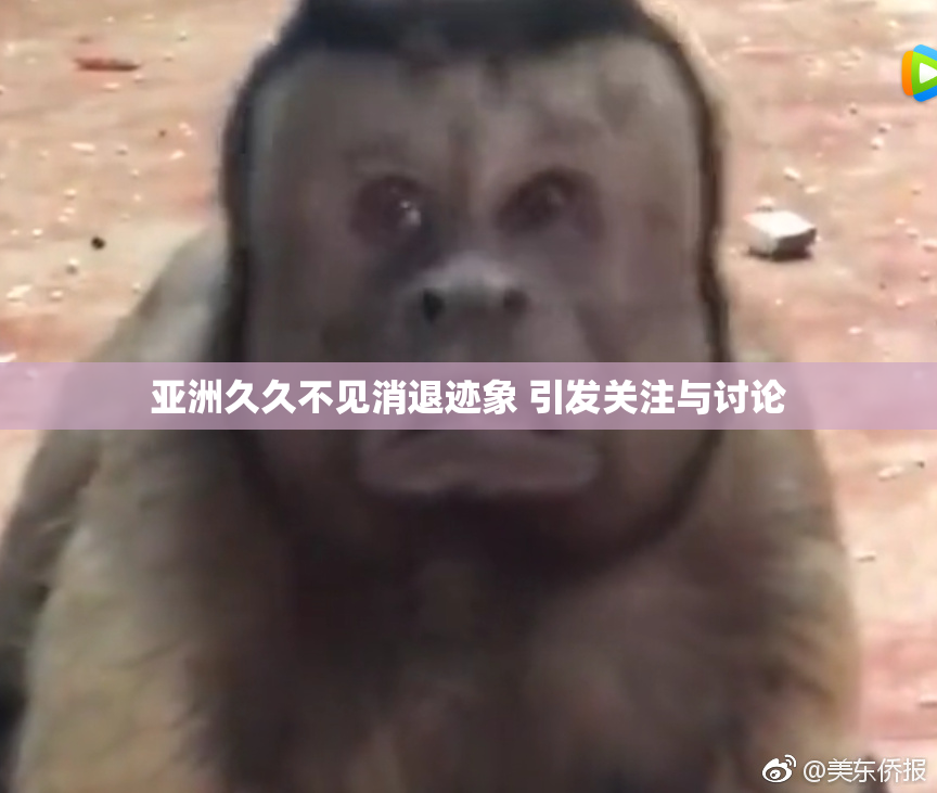 亚洲久久不见消退迹象 引发关注与讨论