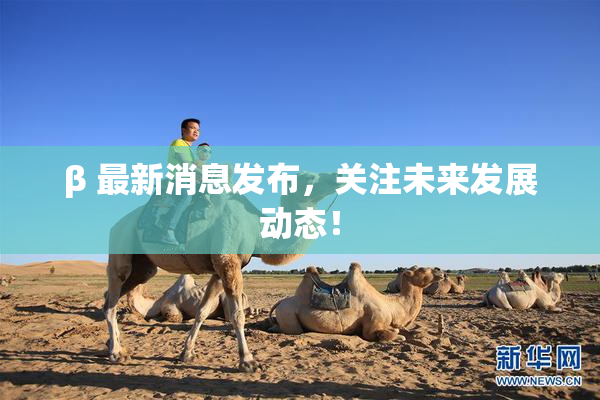 β 最新消息发布，关注未来发展动态！