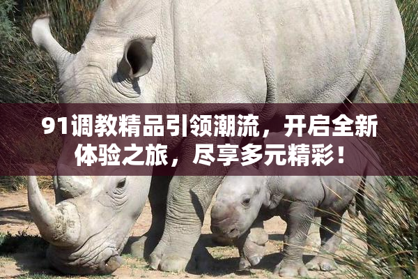 91调教精品引领潮流，开启全新体验之旅，尽享多元精彩！
