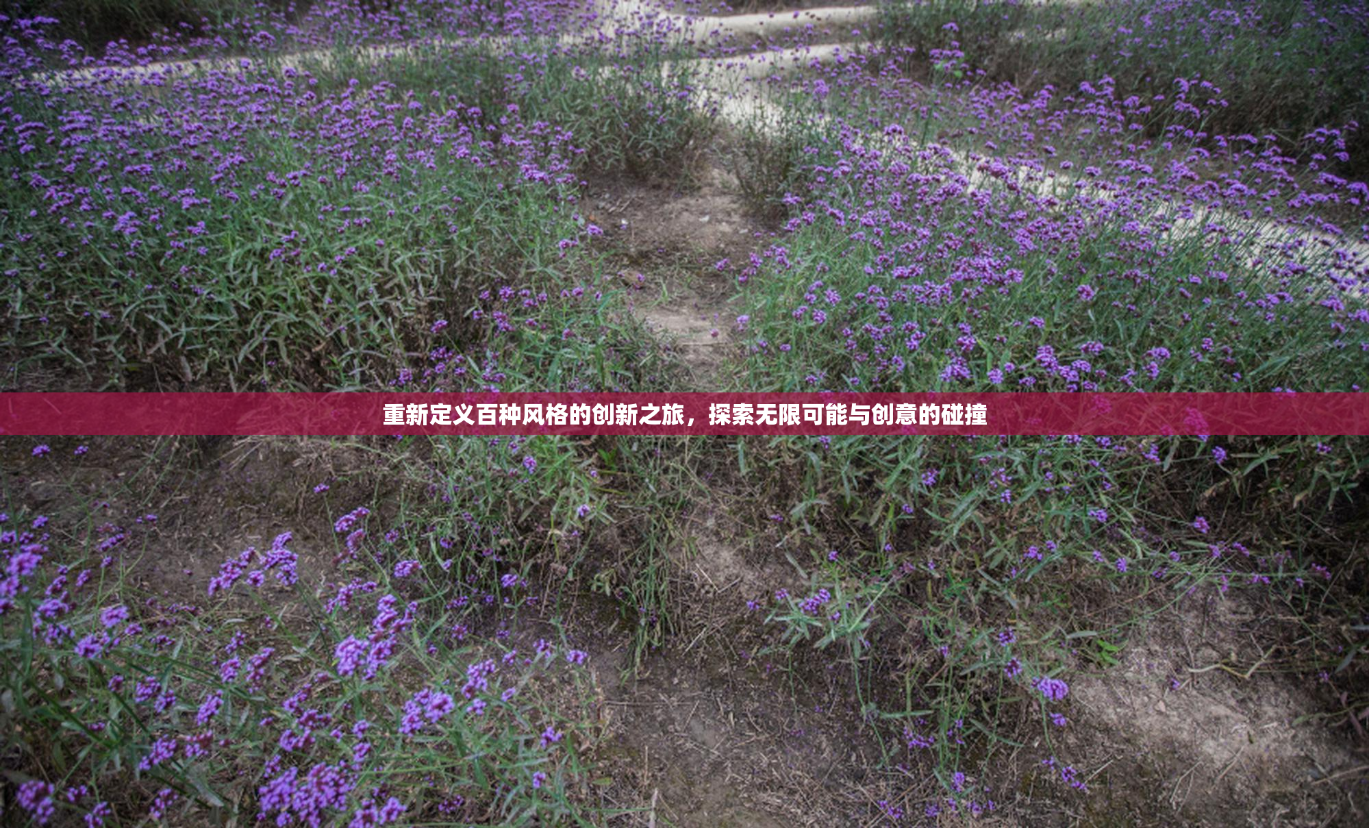 重新定义百种风格的创新之旅，探索无限可能与创意的碰撞