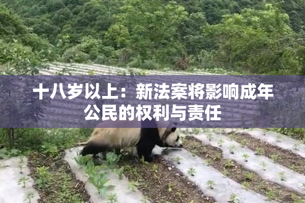 十八岁以上：新法案将影响成年公民的权利与责任
