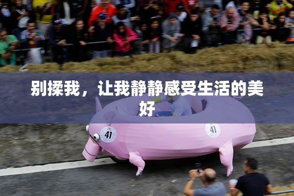 别揉我，让我静静感受生活的美好