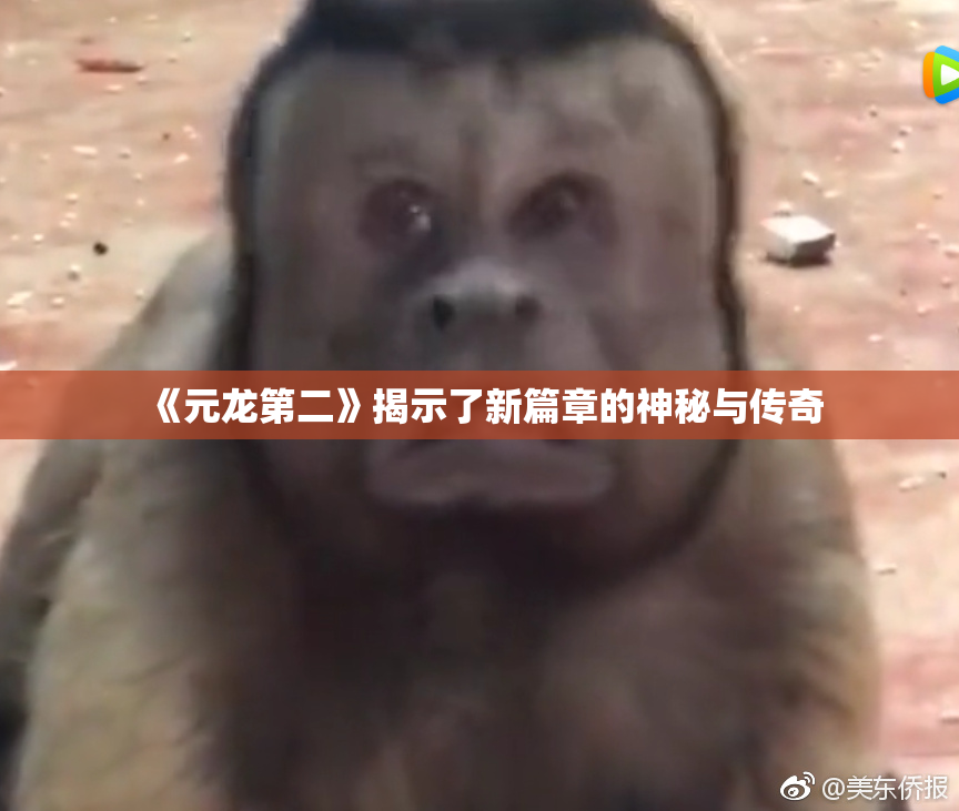 《元龙第二》揭示了新篇章的神秘与传奇
