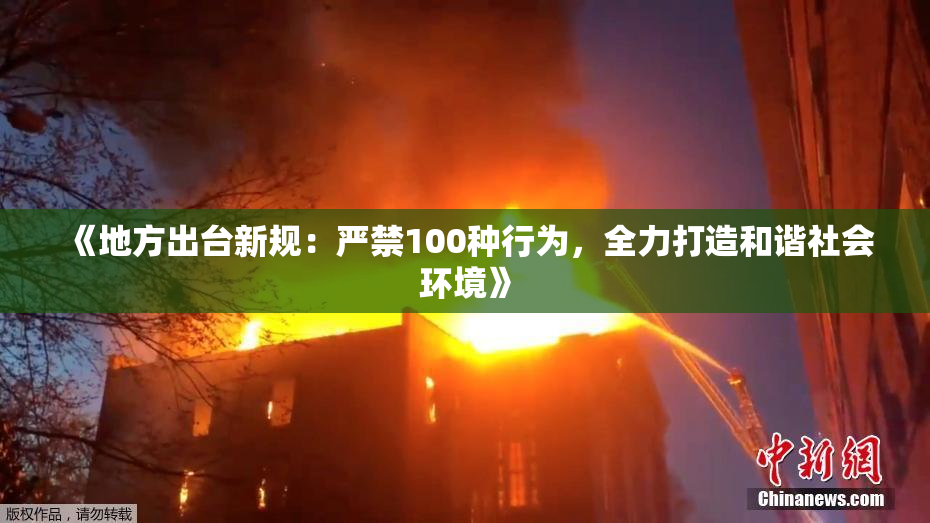 《地方出台新规：严禁100种行为，全力打造和谐社会环境》