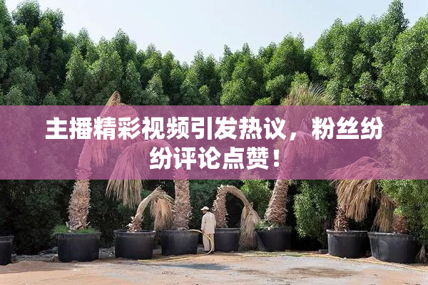 主播精彩视频引发热议，粉丝纷纷评论点赞！