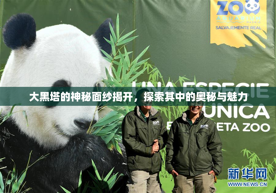 大黑塔的神秘面纱揭开，探索其中的奥秘与魅力