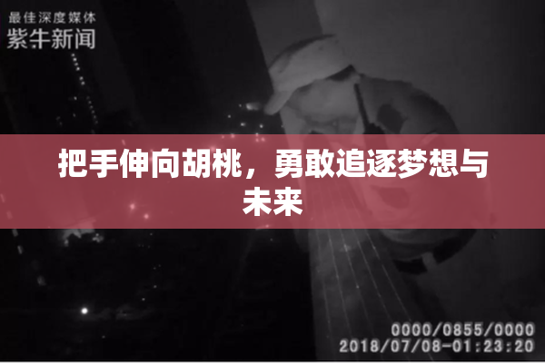 把手伸向胡桃，勇敢追逐梦想与未来