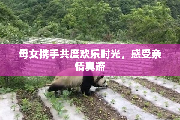 母女携手共度欢乐时光，感受亲情真谛
