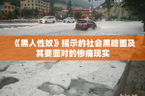 《黑人性奴》揭示的社会黑暗面及其要面对的惨痛现实