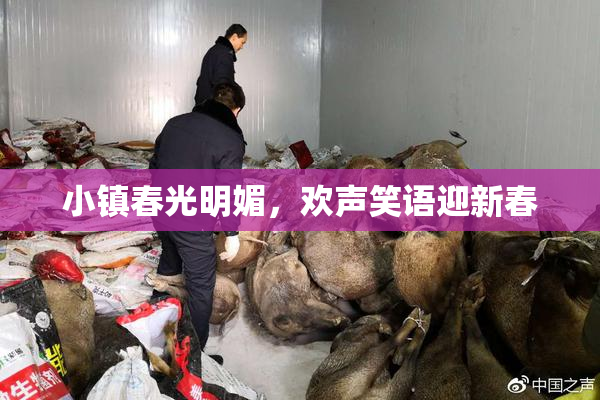 小镇春光明媚，欢声笑语迎新春