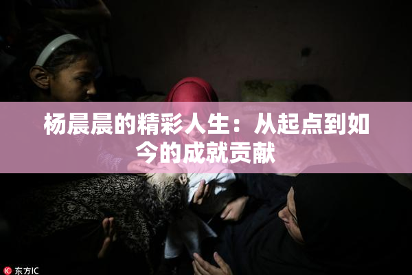 杨晨晨的精彩人生：从起点到如今的成就贡献