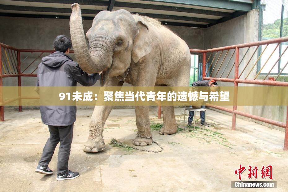 91未成：聚焦当代青年的遗憾与希望