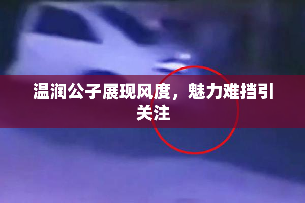 温润公子展现风度，魅力难挡引关注